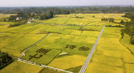 成都美丽乡村游（一）：一路向西探秘世外桃源