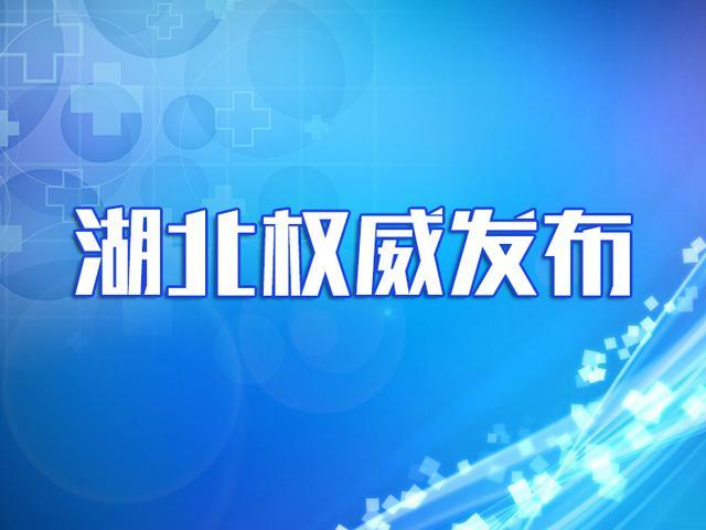 2020年2月5日湖北省新型冠状病毒感染的肺炎疫情情况（德语）