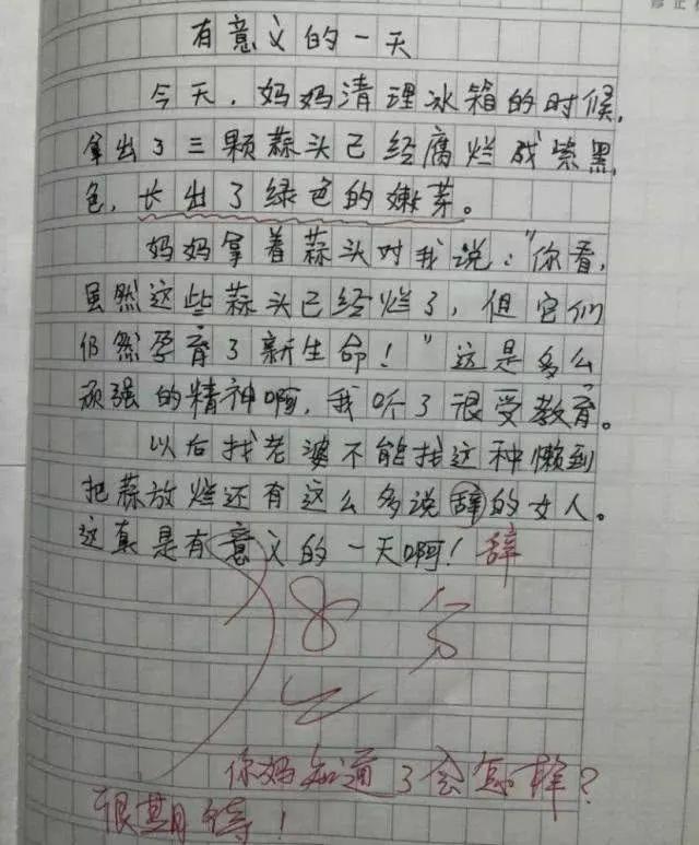 求妈妈的心理阴影面积，小学生作文写了妈妈那么多秘密