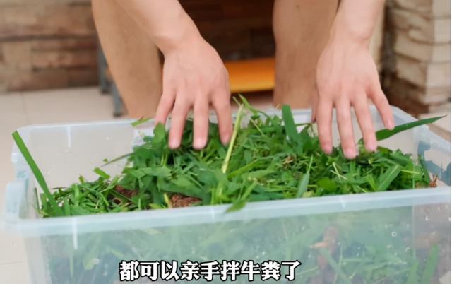 爆火全网六大美食博主，你最喜欢哪一个网友直呼：太想去蹭饭