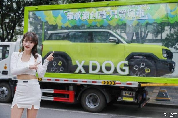 带敢炸街 潮创同嗨 哈弗X DOG 与用户一起共创出圈