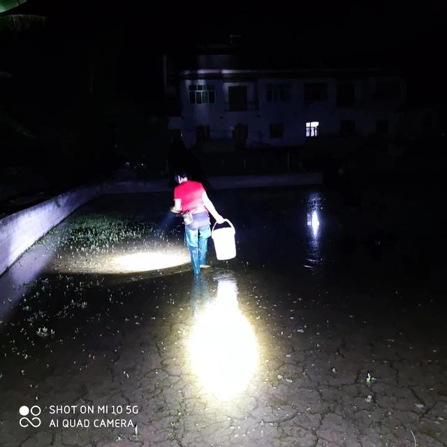 夫妻俩夜晚照鳝鱼第一次抓获二根上斤的，太不容易了