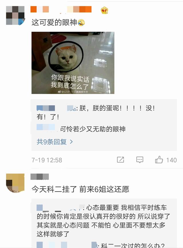 女流66晒自己的宠物猫，网友：这眼神太可爱了！