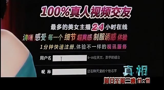 色情网站“丁香”覆灭记：7.3亿的浏览量背后，是谁在操控盈利