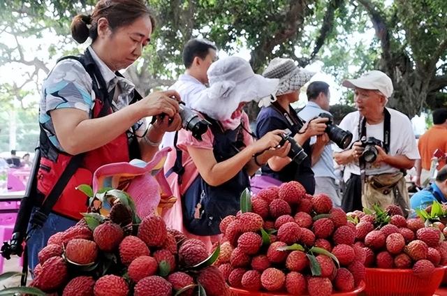 江苏卫视美女主持人苏畅，身材高挑高鼻梁大眼睛，女人味势不可挡