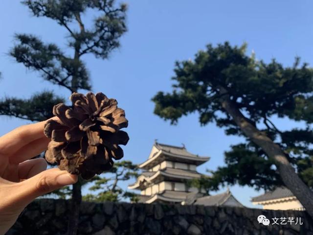 文艺芊儿的大脚——《日本高松初体验》