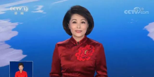 央视50位女主播春节出镜服装（70套）合集