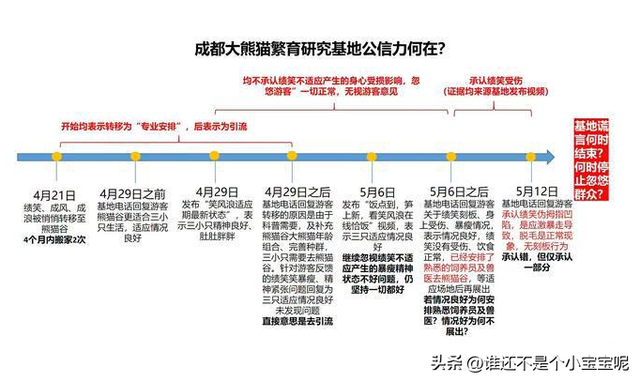 每天认识一只大熊猫——绩笑，憨气十足的女明星，KPI灰色C位出道