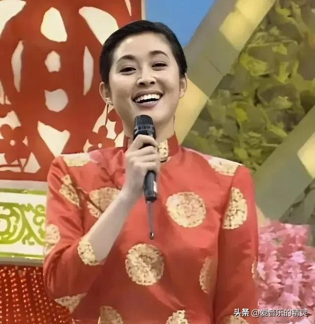 以董卿为首的央视十大美女主持人