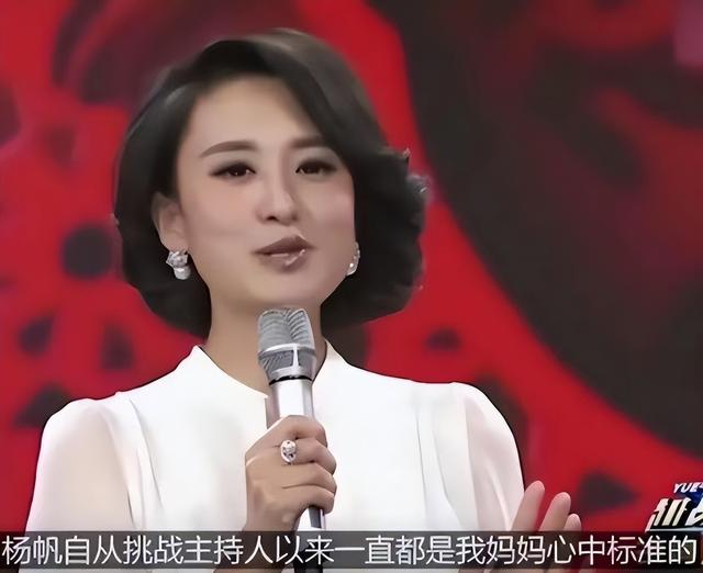 央视主持人杨帆：娶普通妻子李飒，背后有多少不为人知的故事