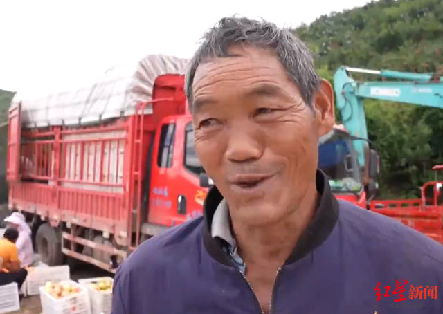 会理石榴遇“悲情营销”调查：主播谎称滞销卖惨带货，承认博同情 官方介入多号被封