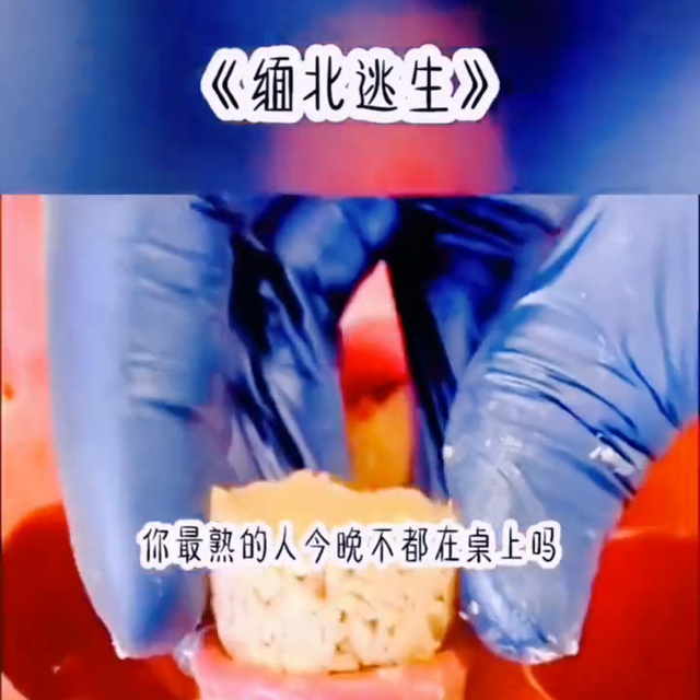 《白月光自杀他把我卖去缅北割腰子》#