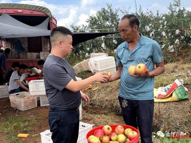 会理石榴遇“悲情营销”调查：主播谎称滞销卖惨带货，承认博同情 官方介入多号被封