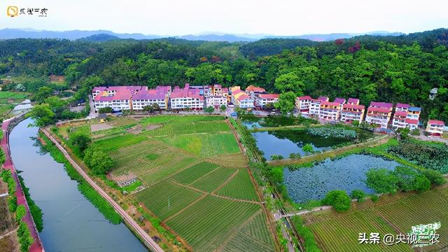 不止有美食！沙县青年“讲解员天团”三大红色地标接力连播