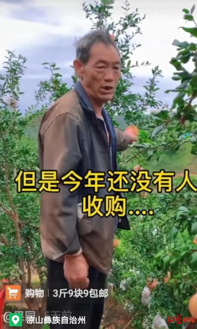 会理石榴遇“悲情营销”调查：主播谎称滞销卖惨带货，承认博同情 官方介入多号被封