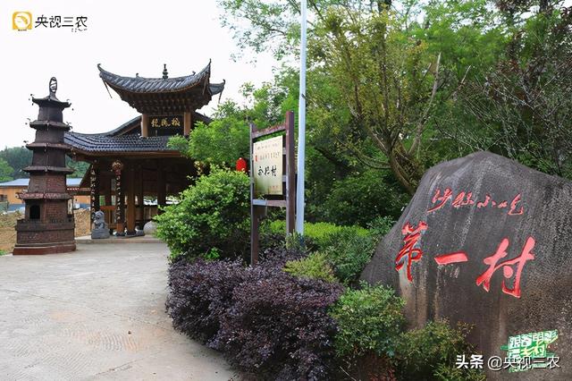 不止有美食！沙县青年“讲解员天团”三大红色地标接力连播