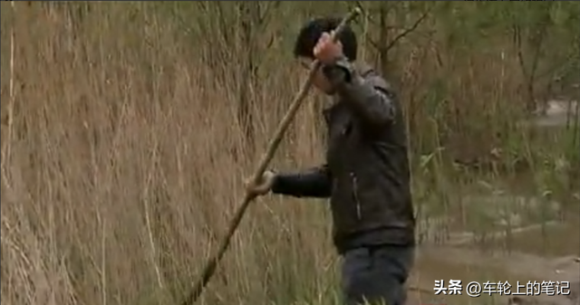 武汉矿场芦苇荡传出呼救声，一女子深陷沼泽中，救援发现竟是孕妇