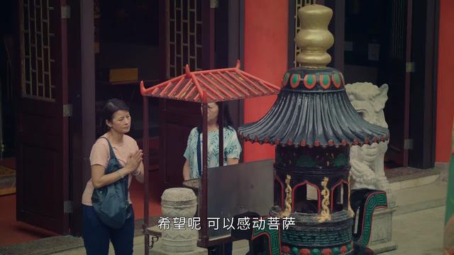 《廉政狙击》不讨喜的四个女性角色，蔡思贝演的黎晓山排第二