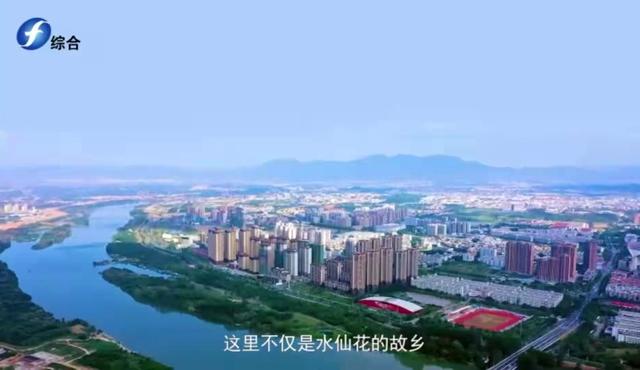 《水仙故里》第四篇章：精神传承 焕生机