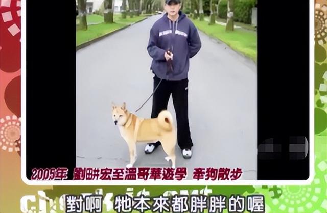 刘畊宏直播爆火，全网心疼他老婆：只要嫁对了人，每天都在健身房