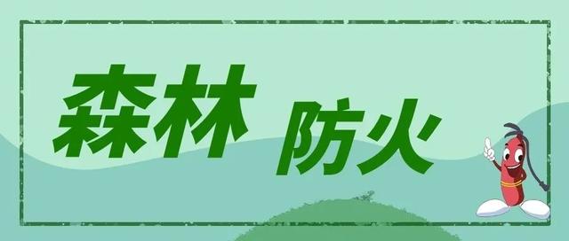 天气主播战“疫”记