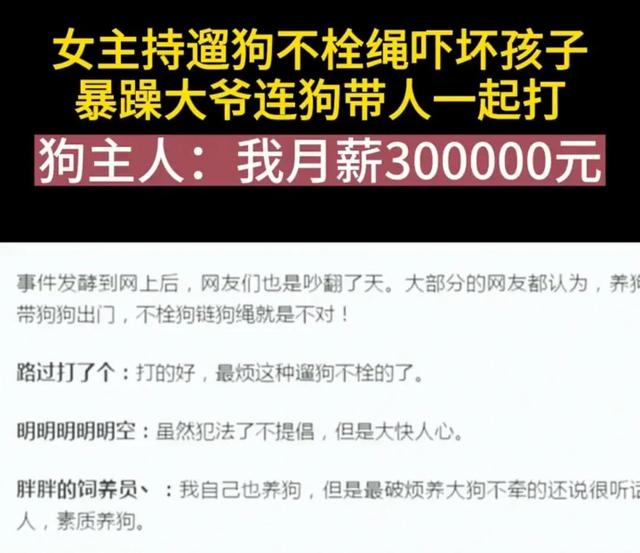 女主持人遛狗不拴绳狗直扑小孩，暴躁爷爷奶奶连人带狗一起打