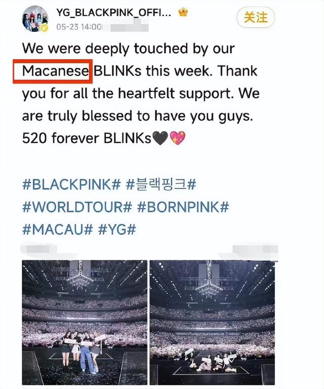 BLACKPINK文案引争议！疑似辱华。韩流席卷全国，限韩令不能停！