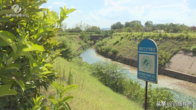 「系列报道《城市脉动 发展强音》（三）」多措并举 呵护碧水蓝天