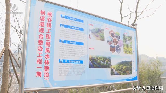 「系列报道《城市脉动 发展强音》（三）」多措并举 呵护碧水蓝天