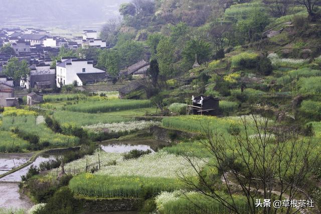 知青岁月：当年借住在我家的知青姐姐拉了我的手，后来我娶了她