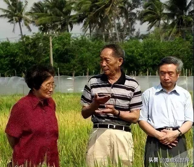 韩媒：中国这么穷，吃不起西瓜就别装。“女神”吴明珠这样回答