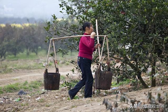 韩媒：中国这么穷，吃不起西瓜就别装。“女神”吴明珠这样回答