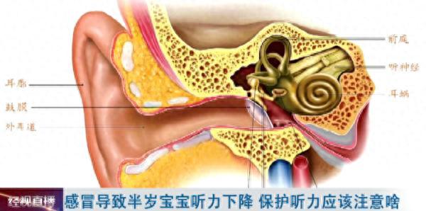 半岁宝宝听力下降，病因让人意想不到，医生提醒：这些因素不要忽视！