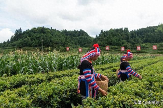 股票入市最佳时机：打破枷锁为磨砺，坚韧前行光自来！