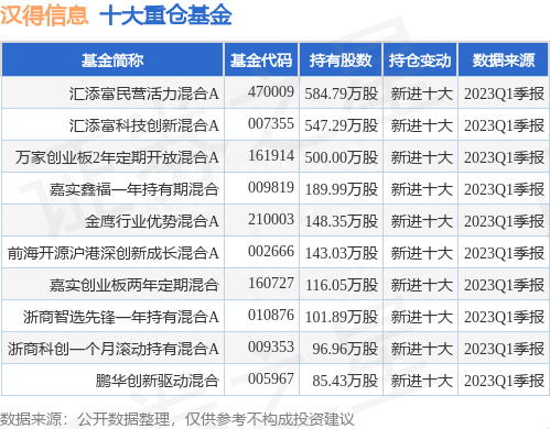 6月28日汉得信息跌9.30%，汇添富民营活力混合A基金重仓该股