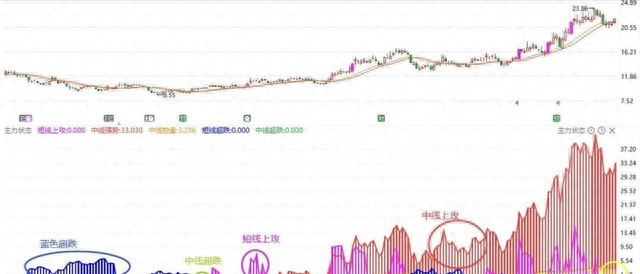 主力状态指标：多维度分析资金运行和股票状态