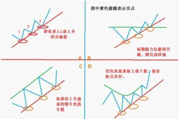 厦大女博士罕见发言：股民11年前投资了腾讯股票10万元，现在总分红有多少呢原来这才叫真正的价值投资