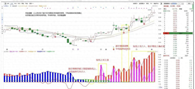 主力状态指标：多维度分析资金运行和股票状态