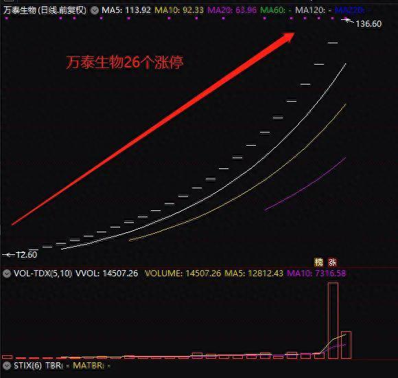 今年最牛新股 狂拉26涨停