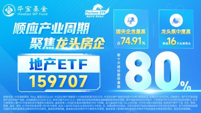 金融、地产双主线集体整理，“牛市旗手”韧性凸显，主力坚定增持，医疗ETF（512170）现地价天量！