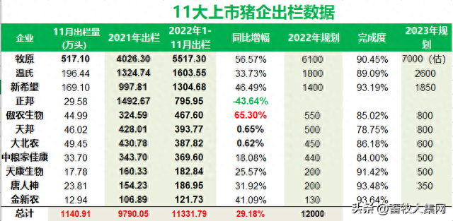 2022猪市暴跌反弹收尾，2023年开门红在望，全年走势会如何