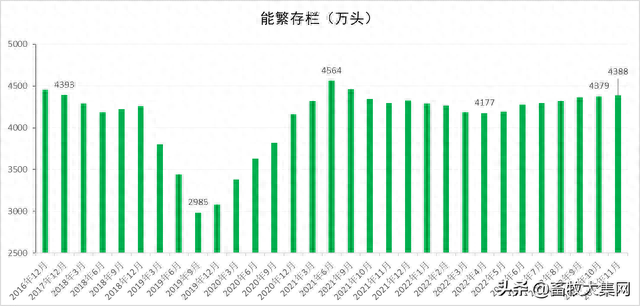 2022猪市暴跌反弹收尾，2023年开门红在望，全年走势会如何