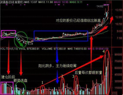 离职操盘手透露主力建仓秘诀，散户紧追其后，股价立马暴涨！