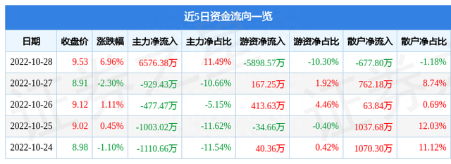 大连电瓷10月28日主力资金净买入6576.38万元