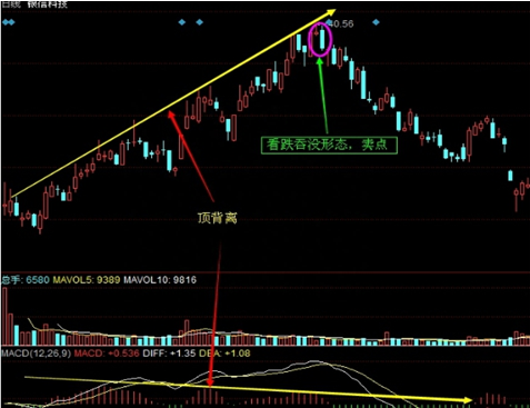 高手悟出MACD铁律：只需看这一指标，从未失手过