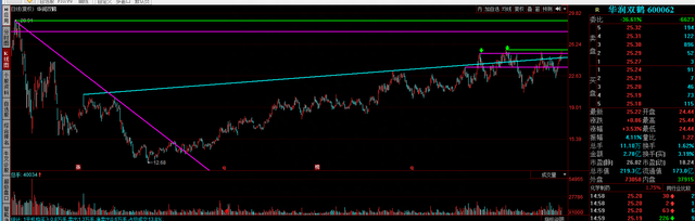 个股技术分析——华润双鹤 600062