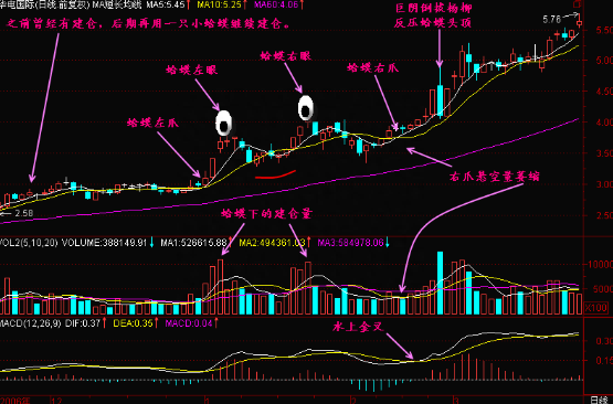 股票一旦出现“金蛤蟆”形态，建议满仓持股，后市不是涨停就是涨个不停