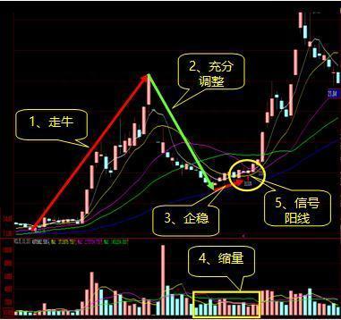 炒股高手都是这样炼成的：一生只做精一只股，一次只买一只股，反复操作，3年本金翻50倍！