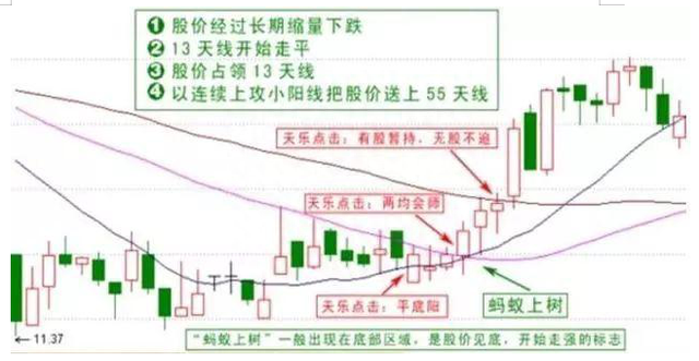 股市真正赚钱的一种人：只因坚持“135均线战法”选牛股，值得散户学习十遍