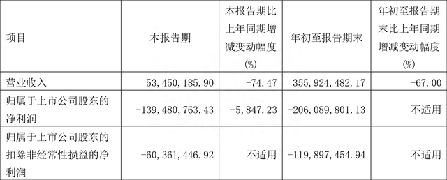 浙江富润：2022年前三季度亏损2.06亿元